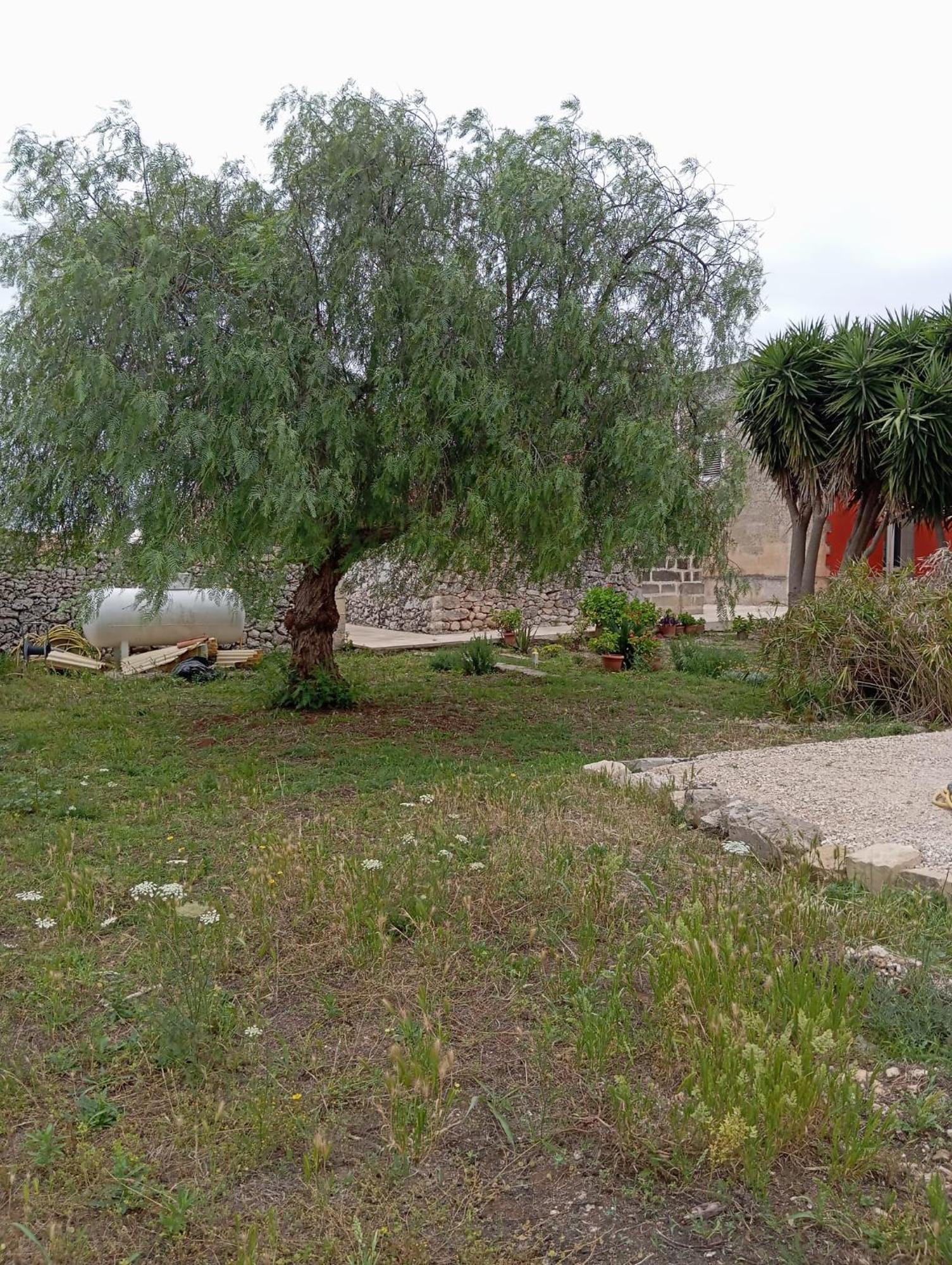 Casolare Giardino Aiarella-Assunta Lejlighed Merine Værelse billede